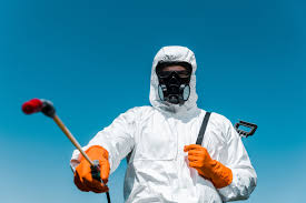 Emergency Pest Control Services in Center Point, TX